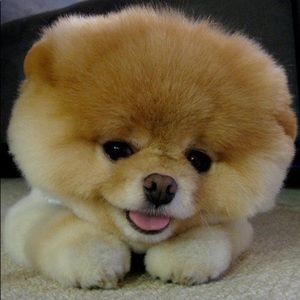 Meet your Posher, Lindsa